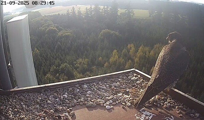 Screenshot_20250921_082959_Chrome