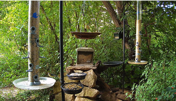 Snap_2024.06.26_18h41m21s_006_