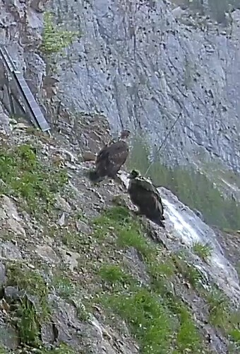 Screenshot_2023-06-08-20-25-05-180-edit_com.android.chrome