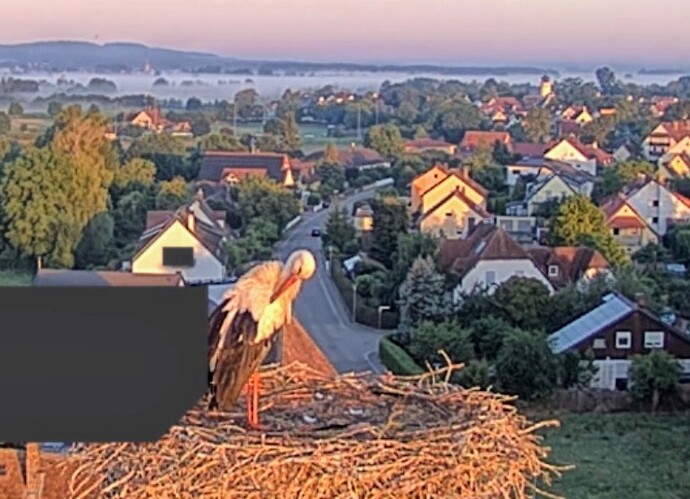 Screenshot_2025-07-19-06-01-12-093_com.android.chrome