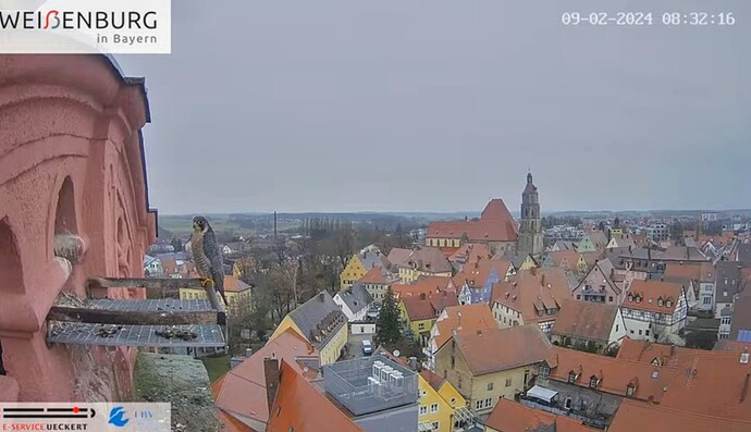 Screenshot_2024-02-09-08-32-25-153_com.android.chrome