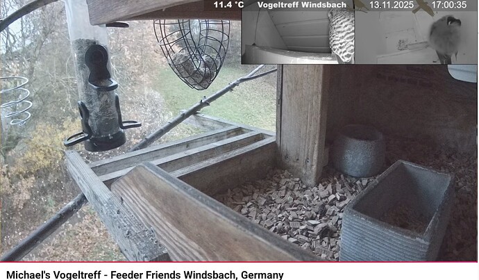 Screenshot_20251113-170056~2