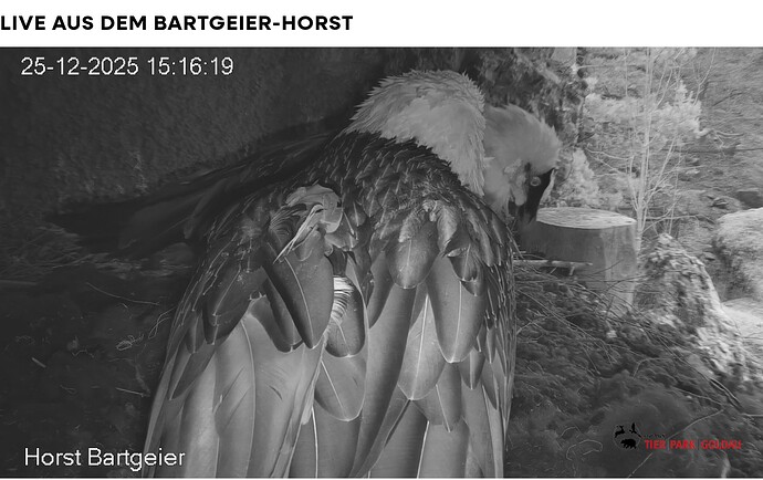 Screenshot_20251225-151734~2