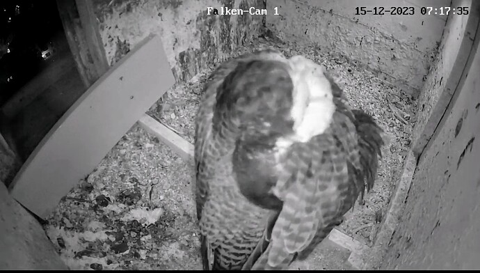 Screenshot_2023-12-15-07-17-52-944_com.android.chrome