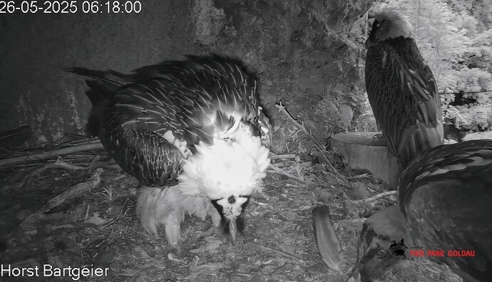 Screenshot_2025-05-26-06-19-28-133_com.android.chrome