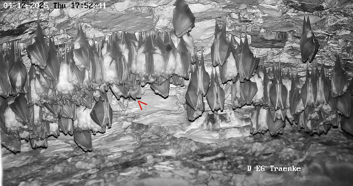 7Vollbildaufzeichnung 04.12.2025 175253