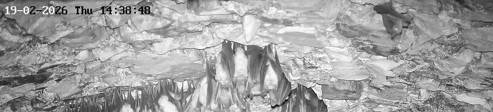 2026-02-19_1 ab 14.00 Wimpi 1