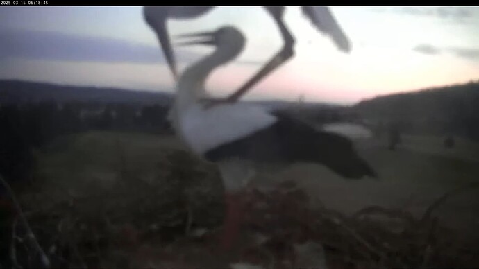 Screenshot (2136)