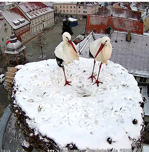 Screenshot_20231203-080651~2