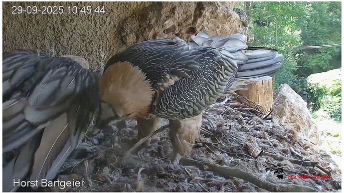 Screenshot_20250929-104657~2