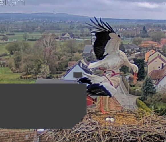 Screenshot_2026-03-29-09-32-32-543_com.android.chrome~2