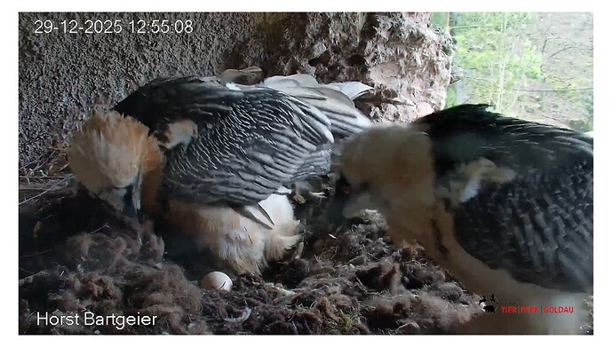 Screenshot_20251229-125611~2