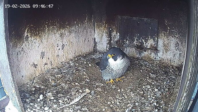 Snap_2026.02.19_09h40m58s_004_