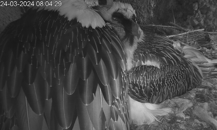 Am Sonntag darf man länger schlafen 24.03.24