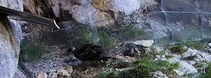 20260625_152849