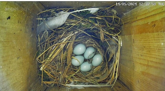 Screenshot_20240514-124116_Chrome