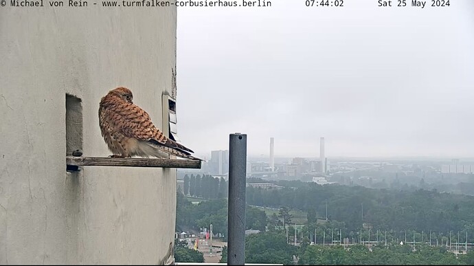 Screenshot_20240525_074417_Chrome