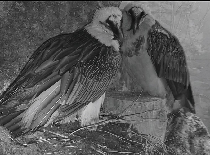 Screenshot_2025-12-21-16-28-01-763_com.android.chrome~2