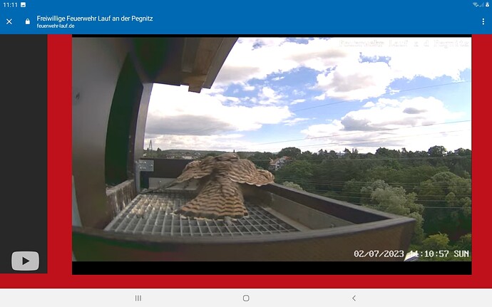 Screenshot_20230702-111112_Chrome