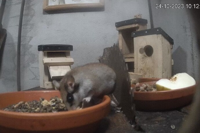 Screenshot_20231024_101209_Samsung Internet