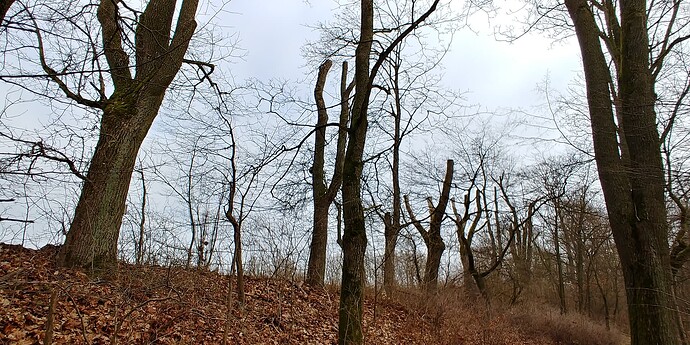 20230212_114039_HDR