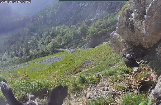 Snap_2025.06.02_07h10m06s_002_