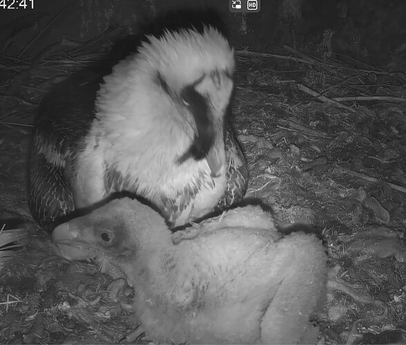 Jetzt noch mal Stehen üben, ich kann`s schon ganz gut 27.03.24