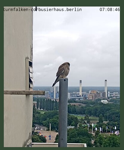 Screenshot_20240703_070900_Chrome