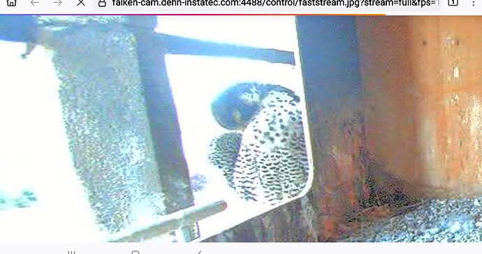 Screenshot_20250902-194733_Firefox