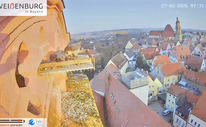 Screenshot_2026-02-27-08-19-41-611_com.google.android.youtube~2