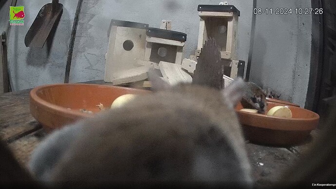 Screeshot (5077)