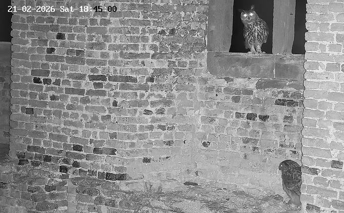 Screenshot_20260221_204055_YouTube