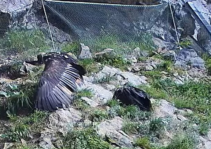 Putzen u. Schlafen 16.06.25