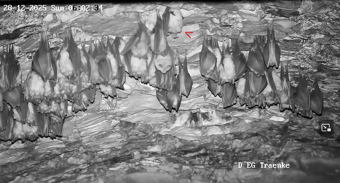 2025-12-28 ab 6.00 Störung Hufi_3