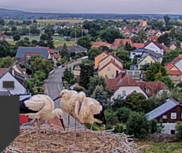 Screenshot_2025-07-16-06-04-37-584_com.android.chrome