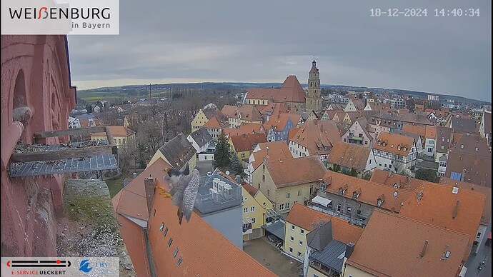 Screenshot (7601)