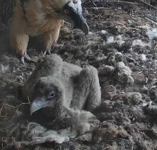 Wach gemacht 31.03.24