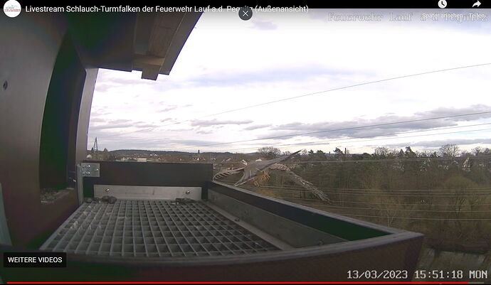 Snap_2023.03.13_16h16m11s_039_
