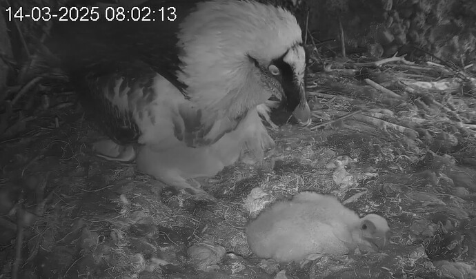 Mama ist wieder da 14.03.25