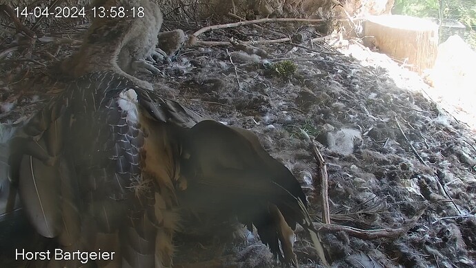 SnapShot-20240414_135916