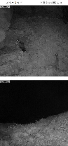 Screenshot_20230603_021525_com.android.chrome