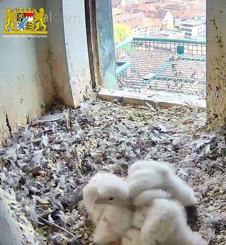 Screenshot_20230416-162311~2