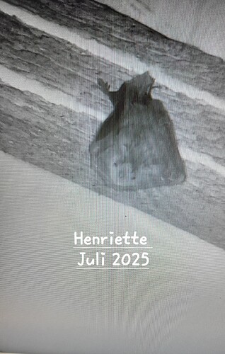 20250716_213110