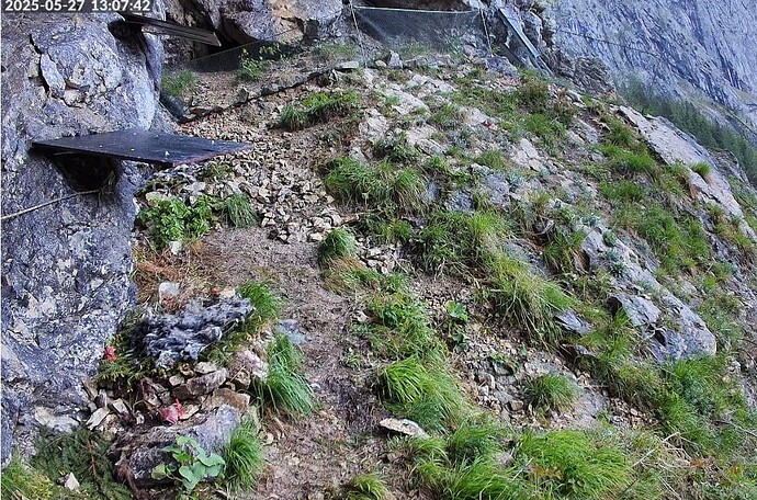 Screenshot_20250527_130836_Samsung Internet