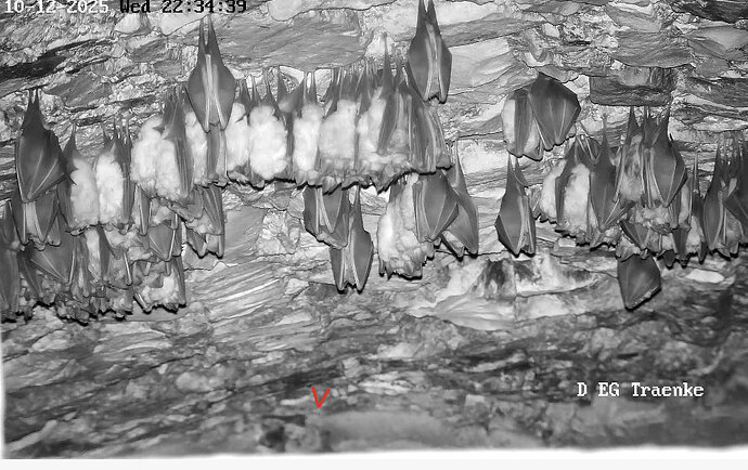Vollbildaufzeichnung 10.12.2025 223440