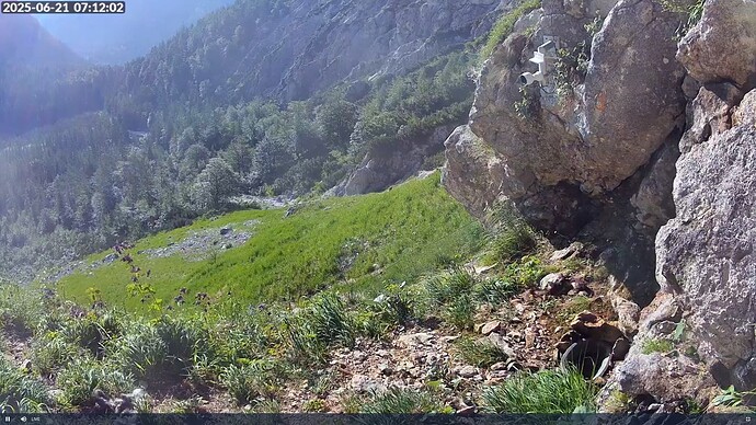 Bildschirmfoto vom 2025-06-21 07-12-25