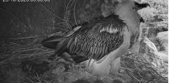 M ist müde 23.10.25