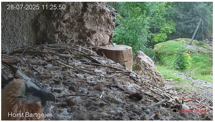 Screenshot_20250728-112654~2