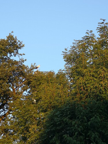 IMG_20230907_070026