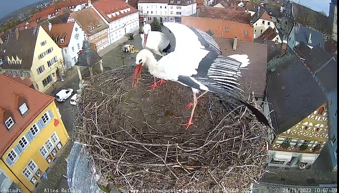 Bild